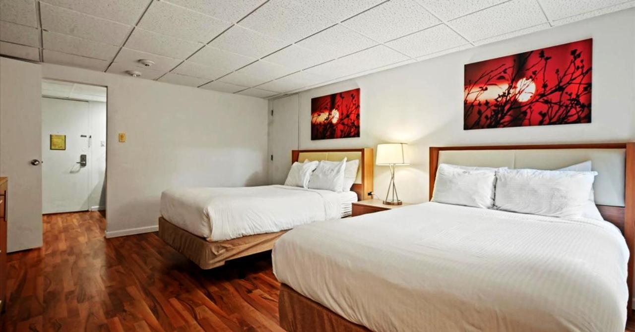 Mountain Laurel Resort White Haven Exteriör bild